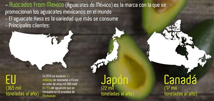 Avocados from Mexico (Aguacated de México) es la marca con la que se promocionan los aguacates mexicanonos en el mundo